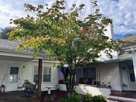 featured image of 813 Apperson Dr