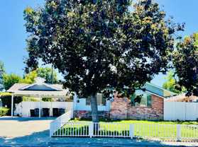 141 Kittoe Dr - Photo 1 of 1
