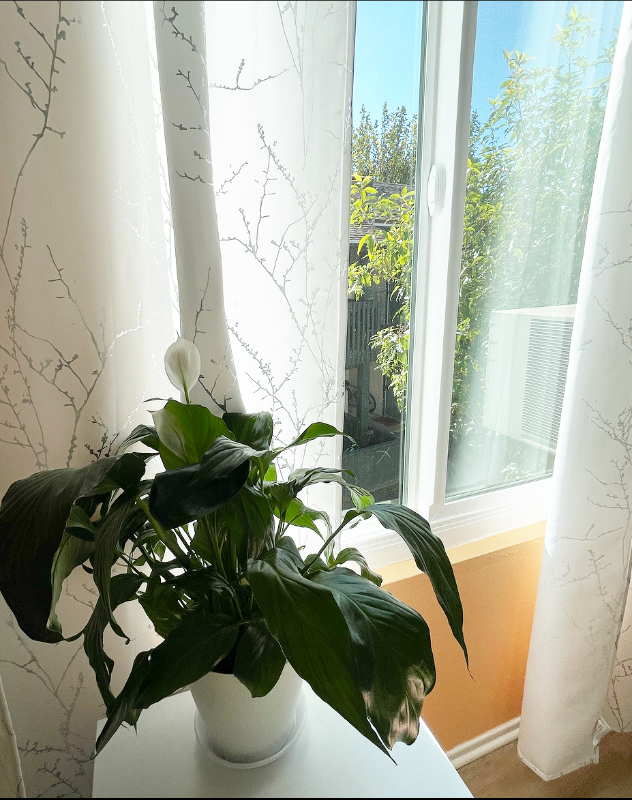 23280 Orange Avenue - Photo 4 of 6