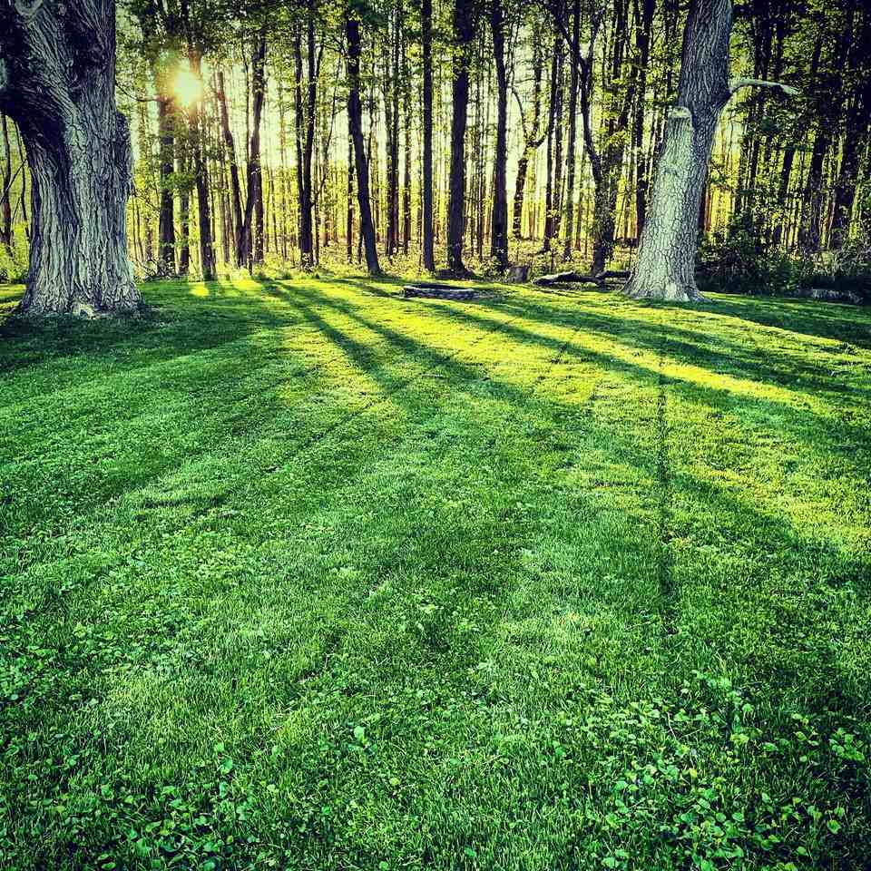 9052 Elmdale Rd #NA - Photo 3 of 16