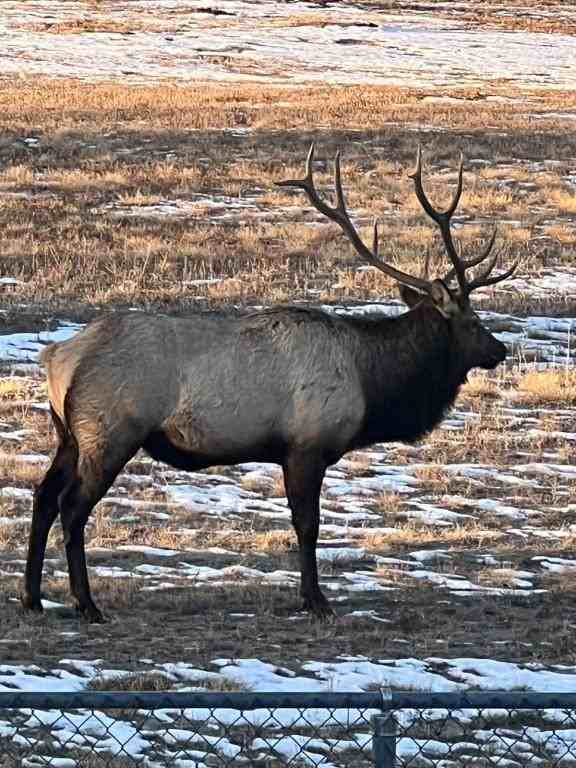 569 S Edinburgh Dr - Photo 5 of 21