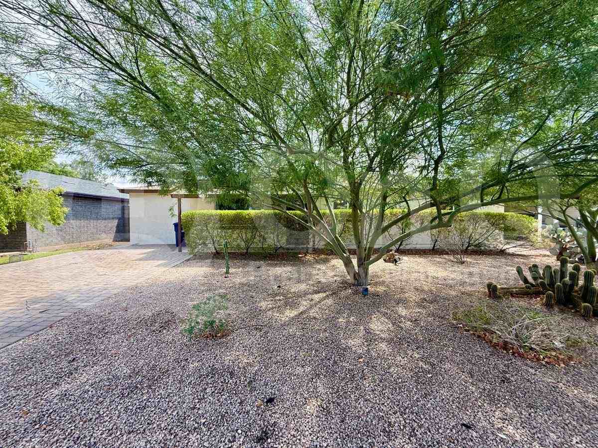 1309 E Orange St - Photo 2 of 10