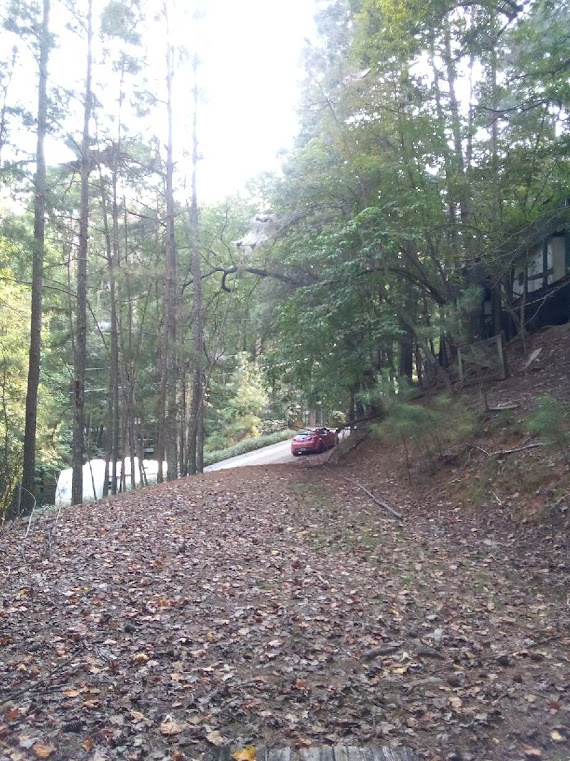 25th St #C502 - Photo 3 of 20