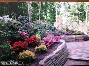 10613 Sherman Road - Photo 3 of 42