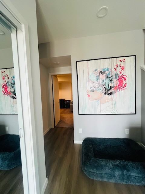 3710 Astoria Drive - Photo 3 of 44