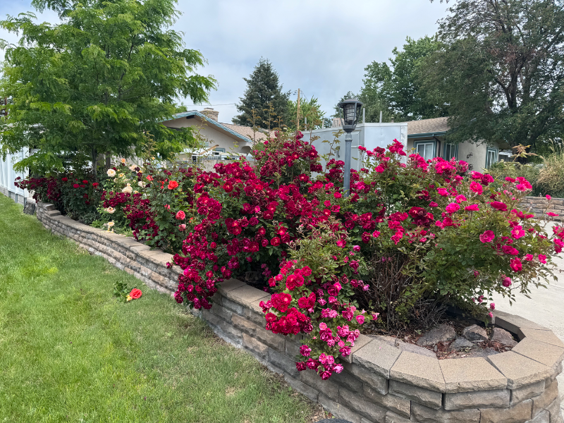 1653 Tabor St #B - Photo 5 of 5