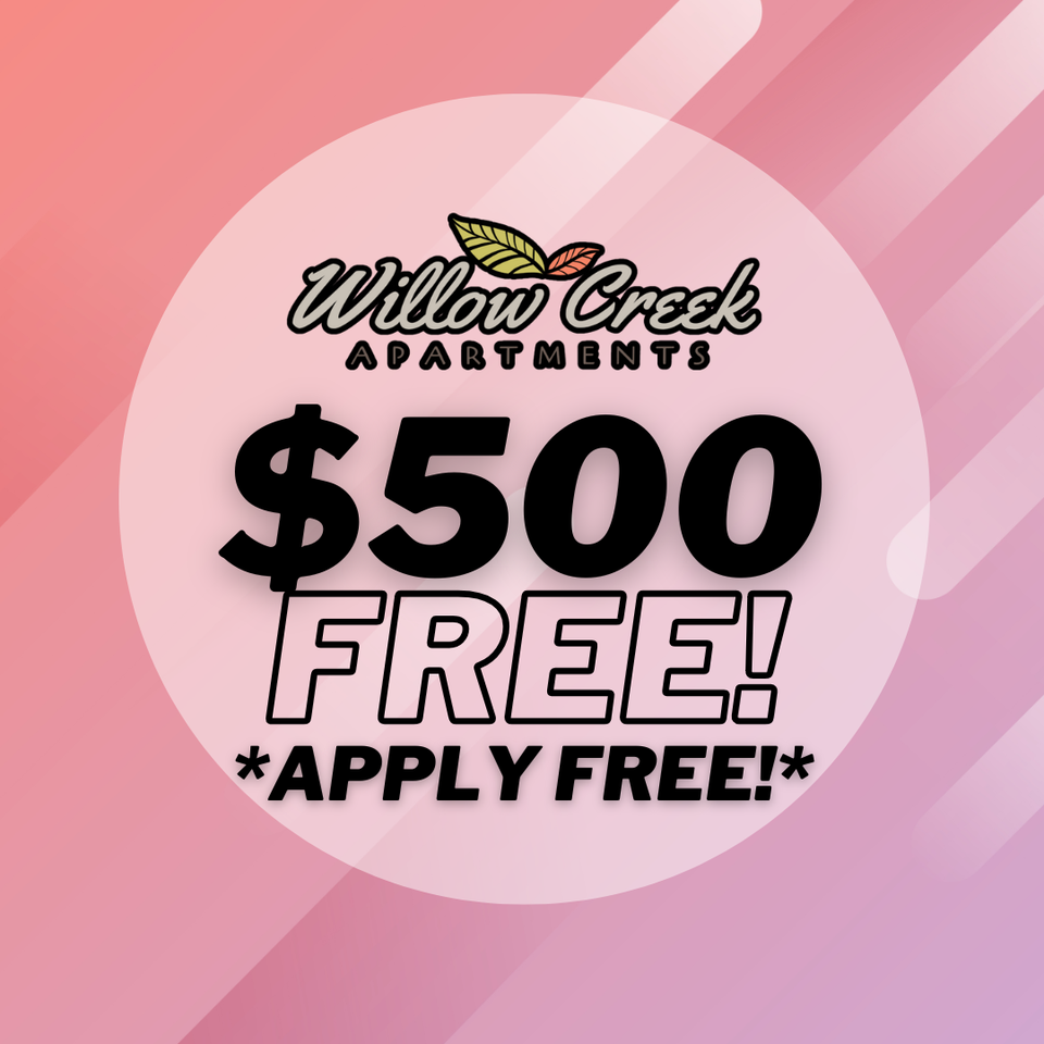 $500 FREE! APPLY TODAY! PET FRIENDLY! - Photo 3 of 3