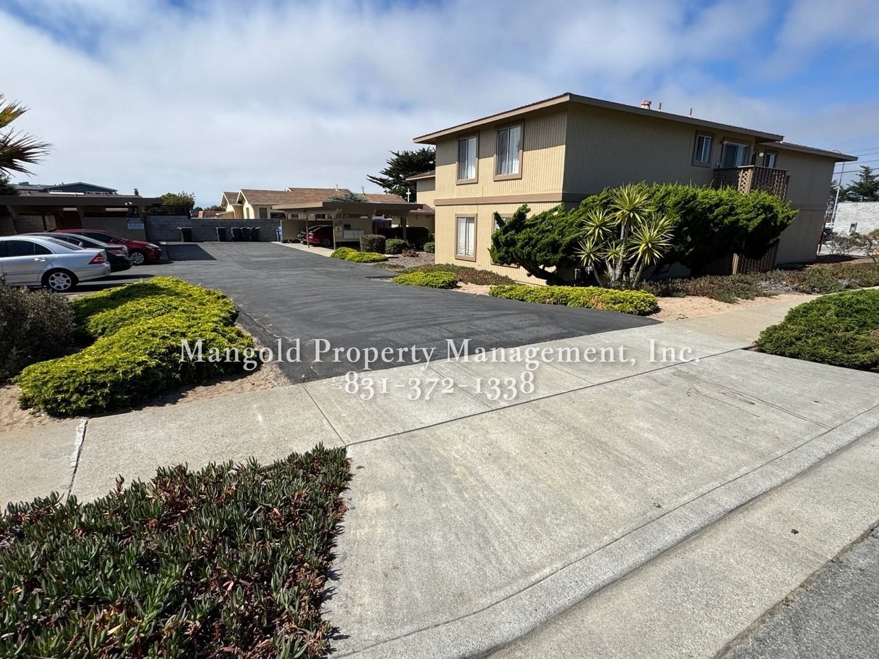 3131bay - Photo 3 of 4