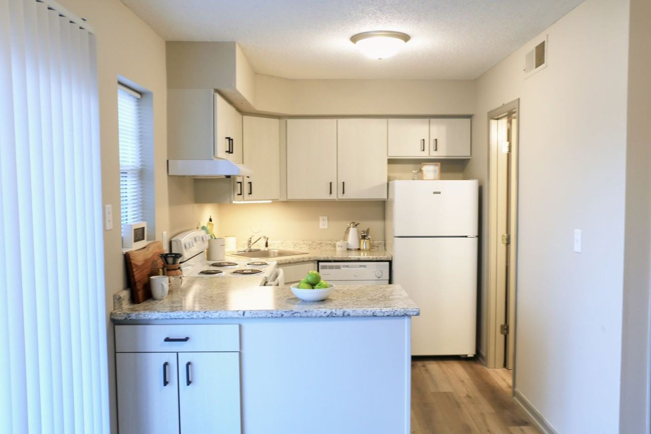 The Vista - Photo 2 of 50