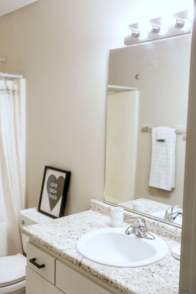 The Vista - Photo 4 of 50