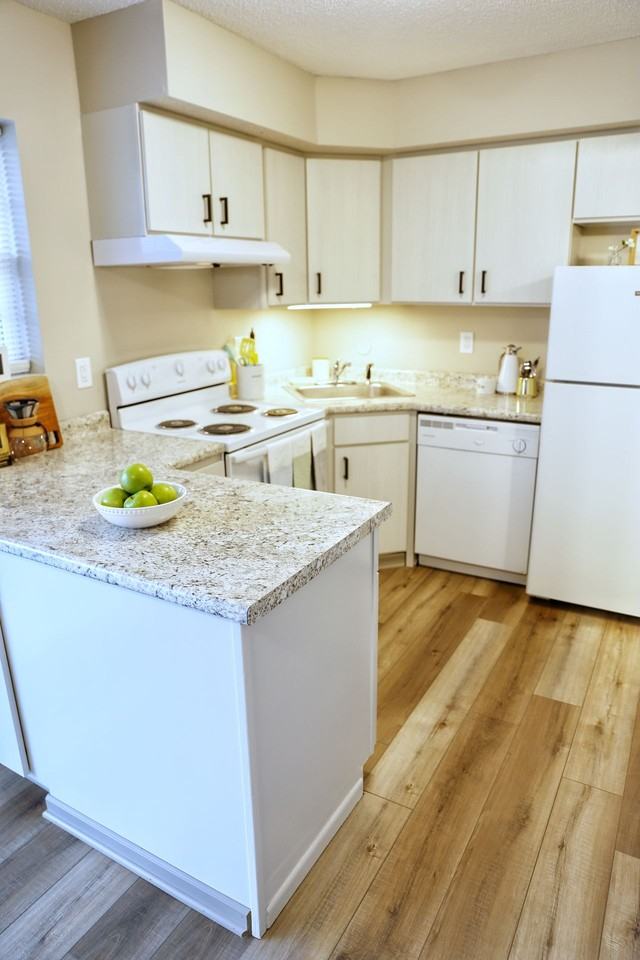 The Vista - Photo 5 of 50