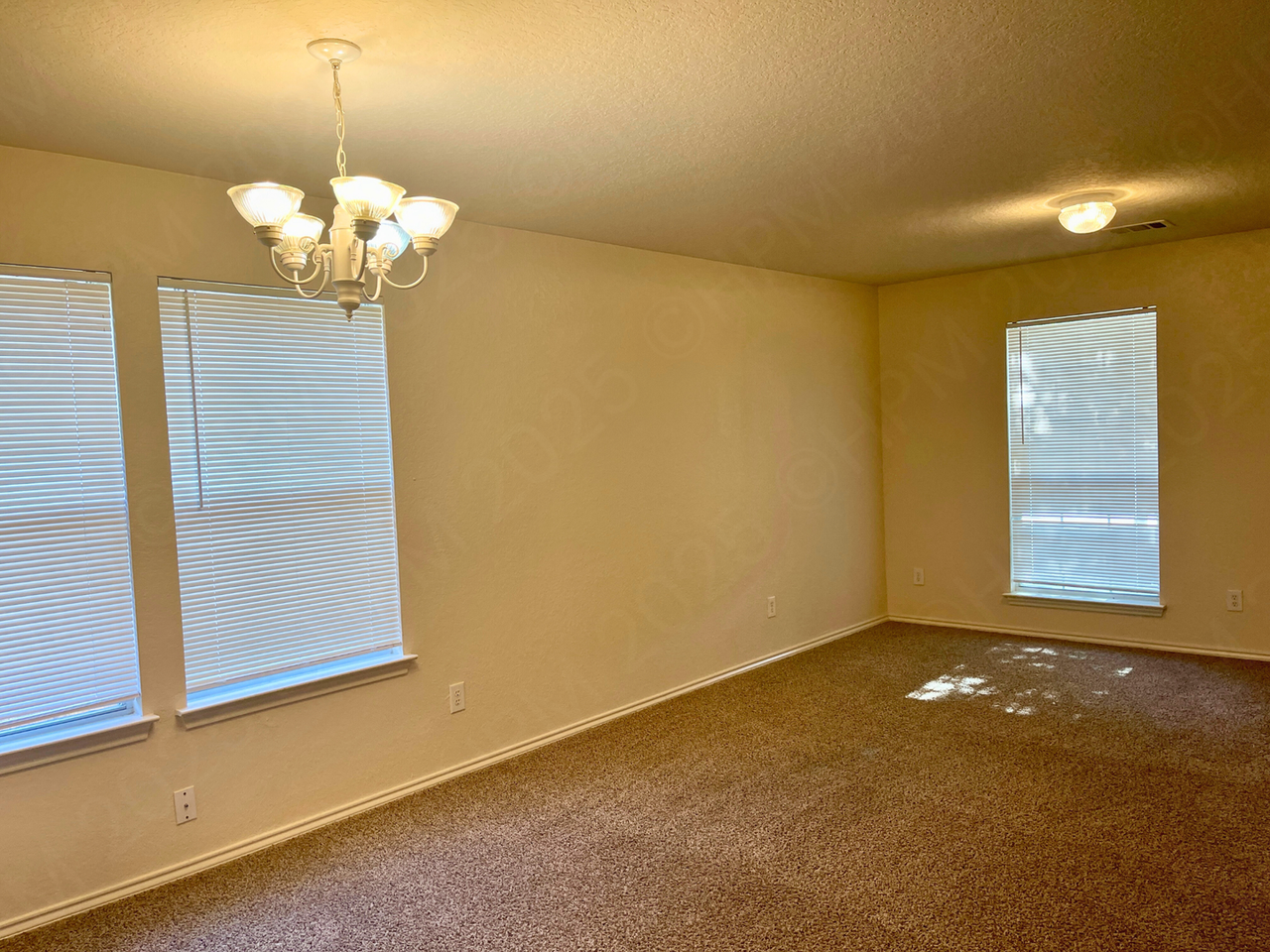 11027 Chicory Fld - Photo 7 of 22