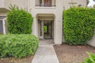 7314 Paseo Verde - Photo 1 of 1