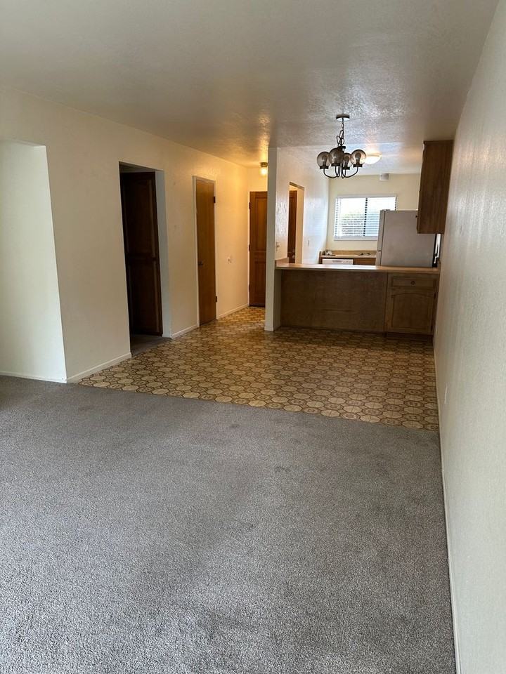 705 Bello St - Photo 2 of 18