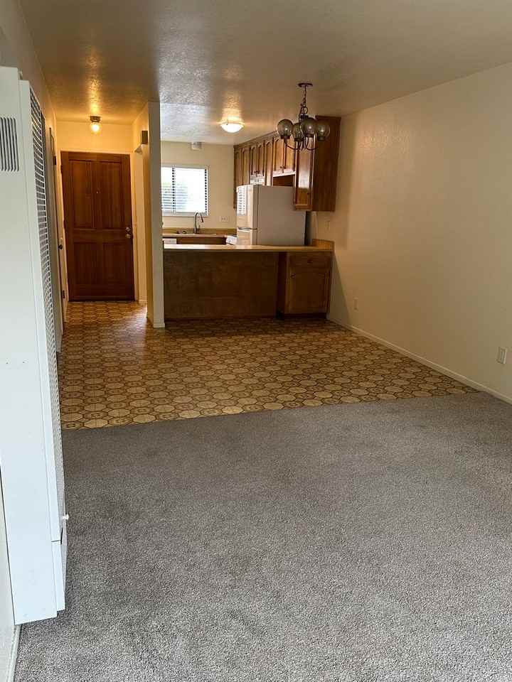 705 Bello St - Photo 3 of 18