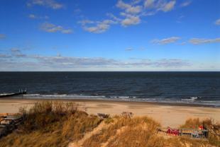 OceanView,E.2020 - Photo 1 of 1