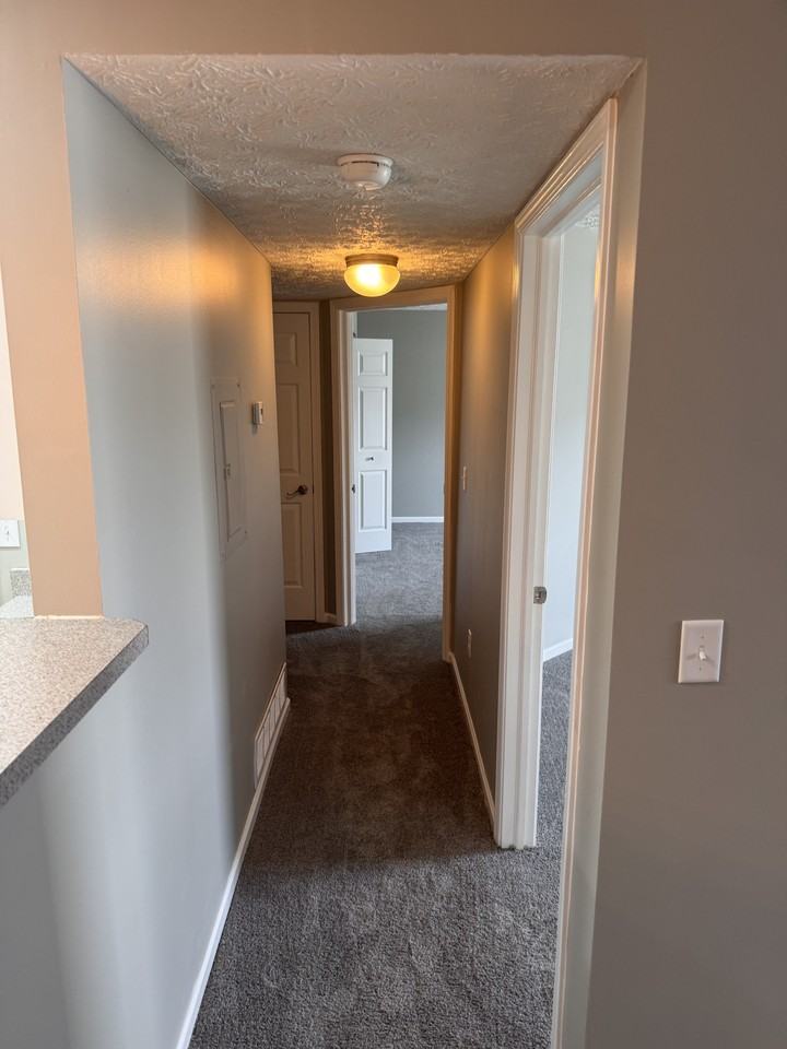 5502 Cypress Chase #5502 - Photo 5 of 14