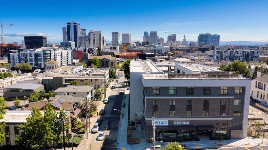 The Amelia - Photo 7 of 41