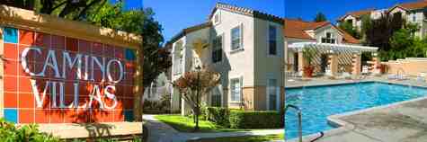 3539 Caminito El Rincon #248 - Photo 6 of 7