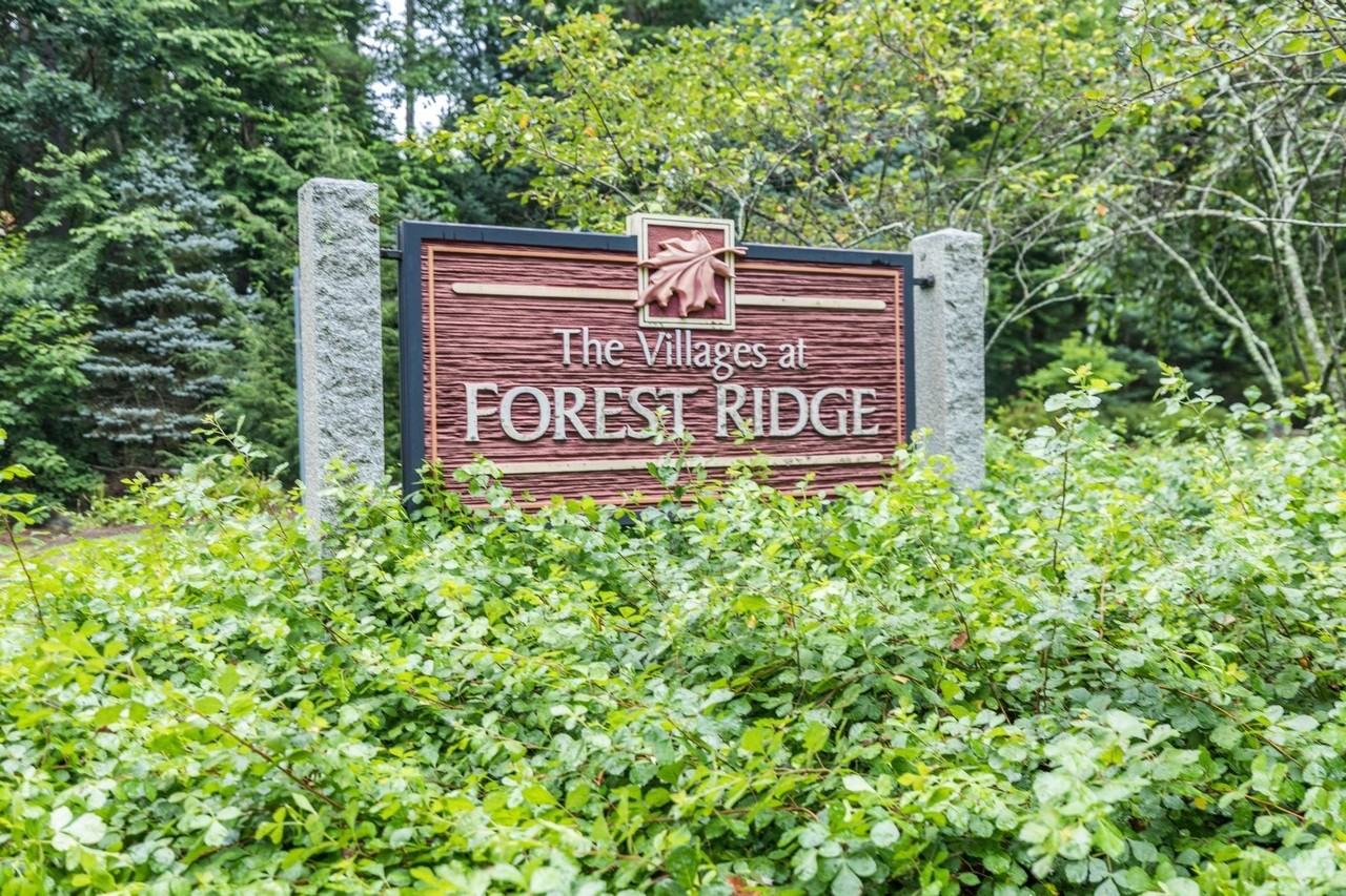 6 Rocky Ridge Cir - Photo 6 of 31