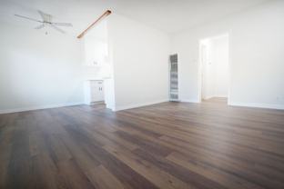 Chestnut 2619 - Photo 1 of 1