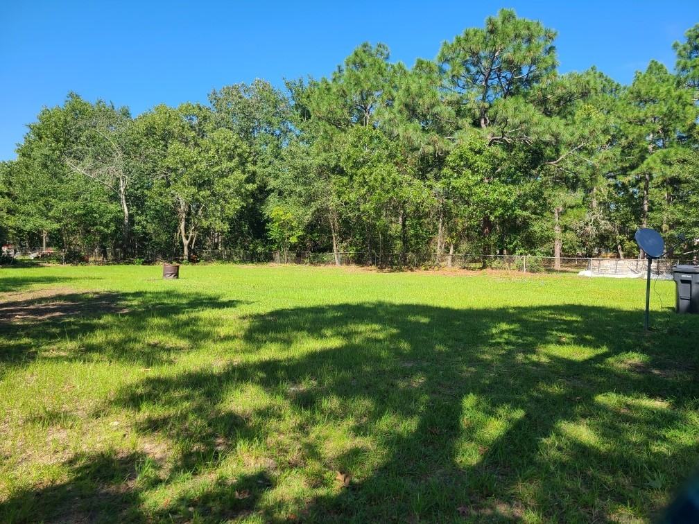 2237 Cassell St #NA - Photo 4 of 15