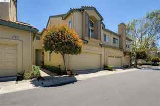 4135 Veneto Ct #NA - Photo 1 of 1