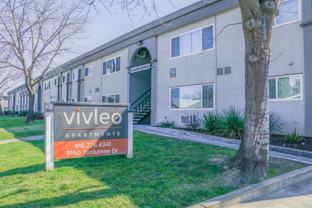 Vivleo - Photo 1 of 1