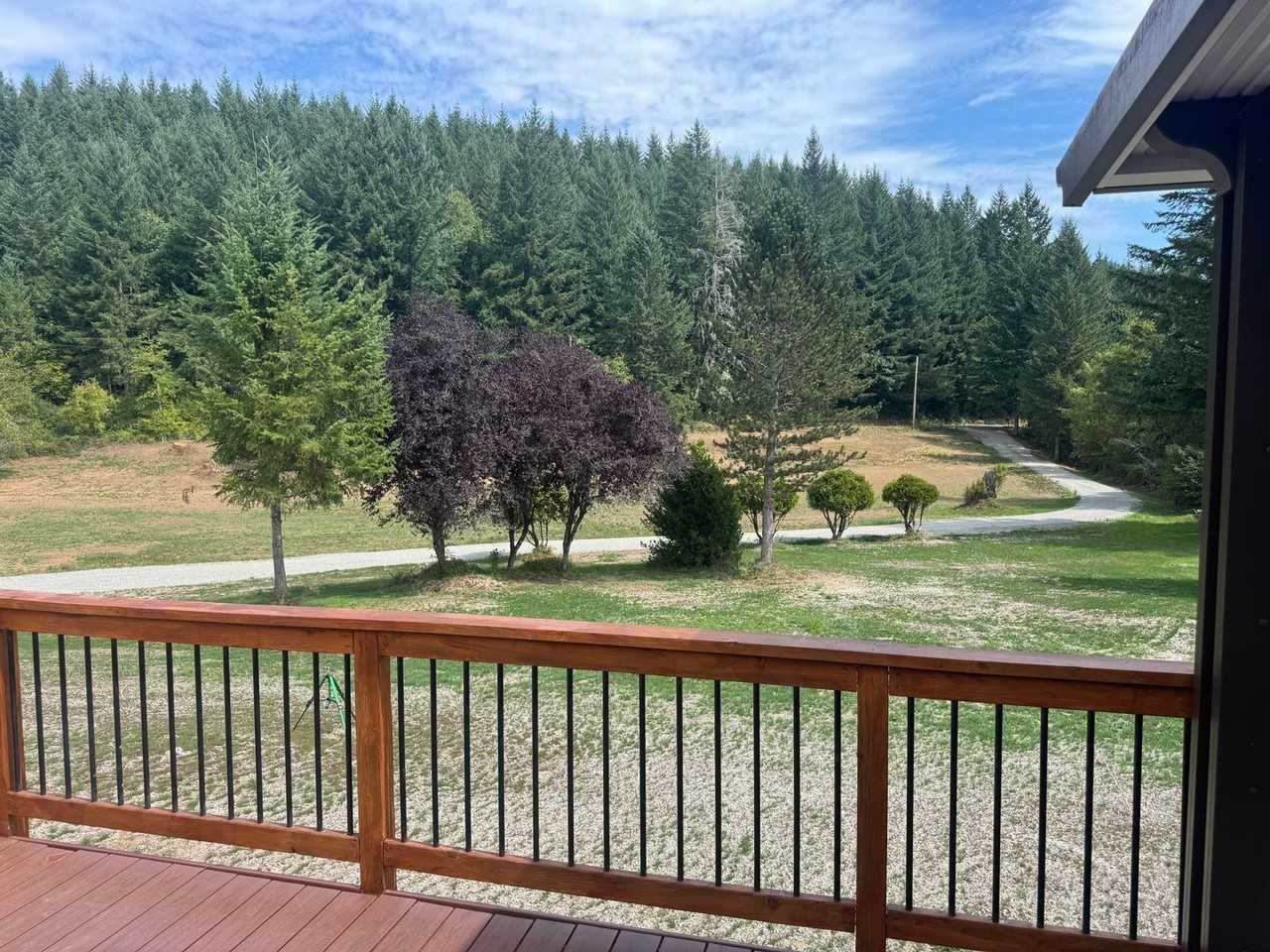 27413 Ne Falls Rd - Photo 3 of 24