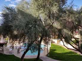 2522 2522 - 9711 E Mountain View Rd #2522 - Photo 1 of 1