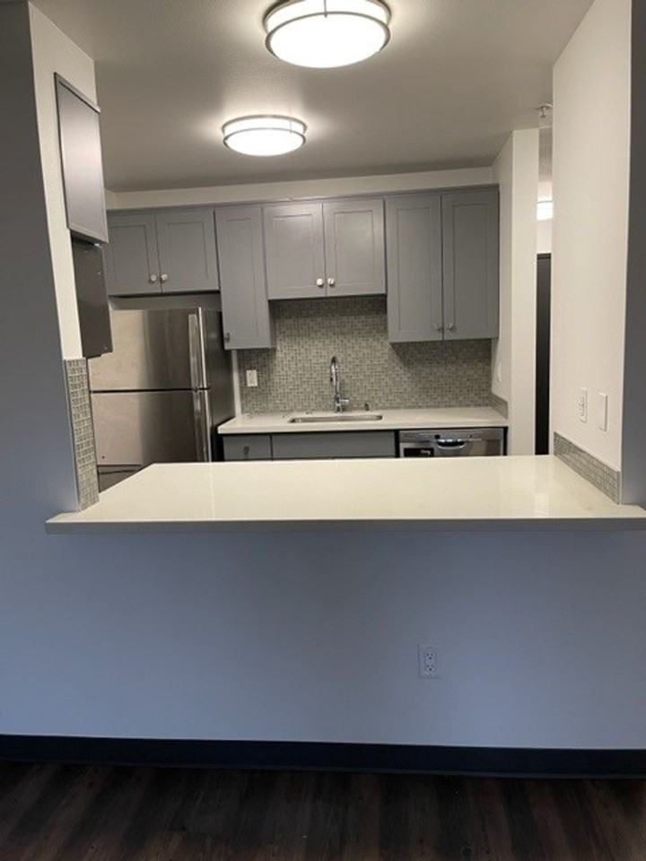 Cohanim Renaissance on The University Ave! - Photo 4 of 50