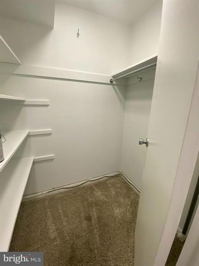10424 Rockville Pike #202 - Photo 2 of 11