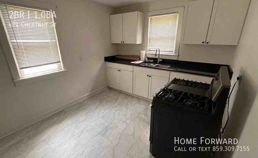 421 Chestnut St - Photo 3 of 6