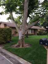 17303 Village 17 - Photo 1 of 1