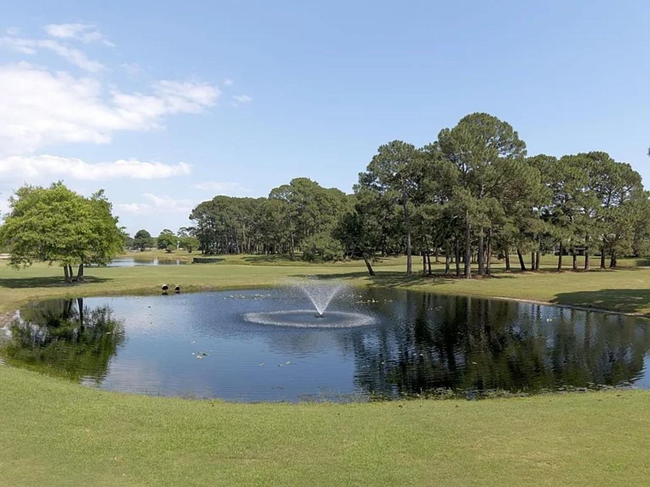 542 North Driftwood Bay - Photo 3 of 16