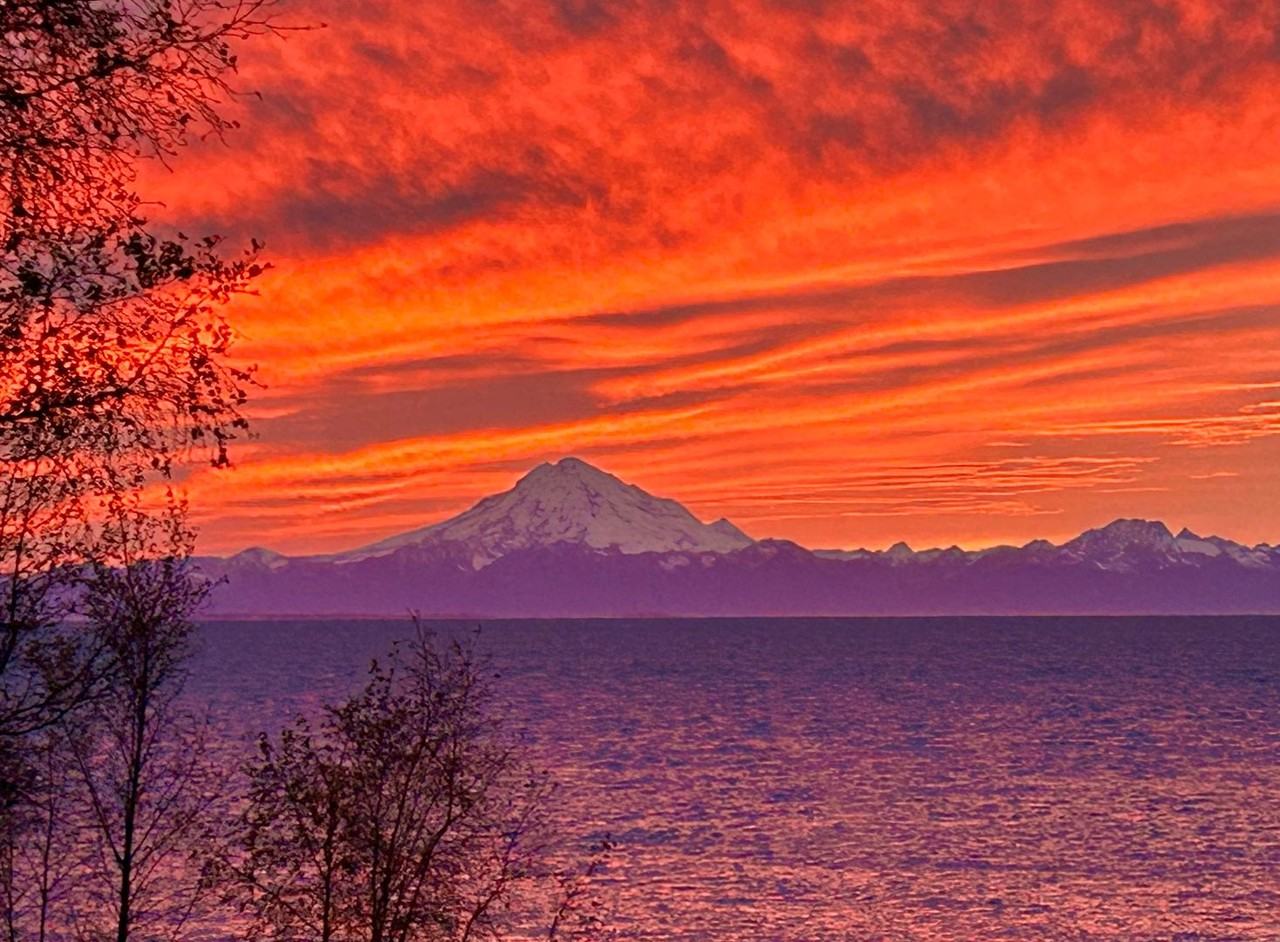 36805 Chinulna Drive - Photo 4 of 28