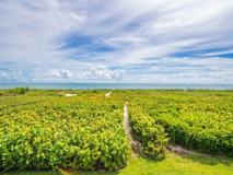 2280 Silver Sands Court - Photo 1 of 1