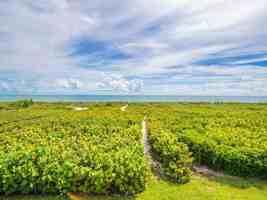 featured image of 2280 Silver Sands Ct