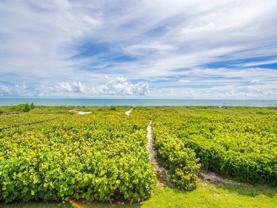 2280 Silver Sands Ct - Photo 1 of 1