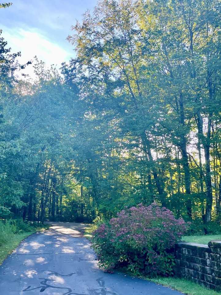 137 Hardy Rd - Photo 4 of 44