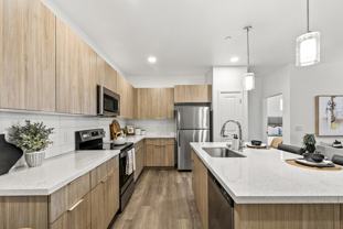 The Aster at Mountain Vista - Photo 1 of 1