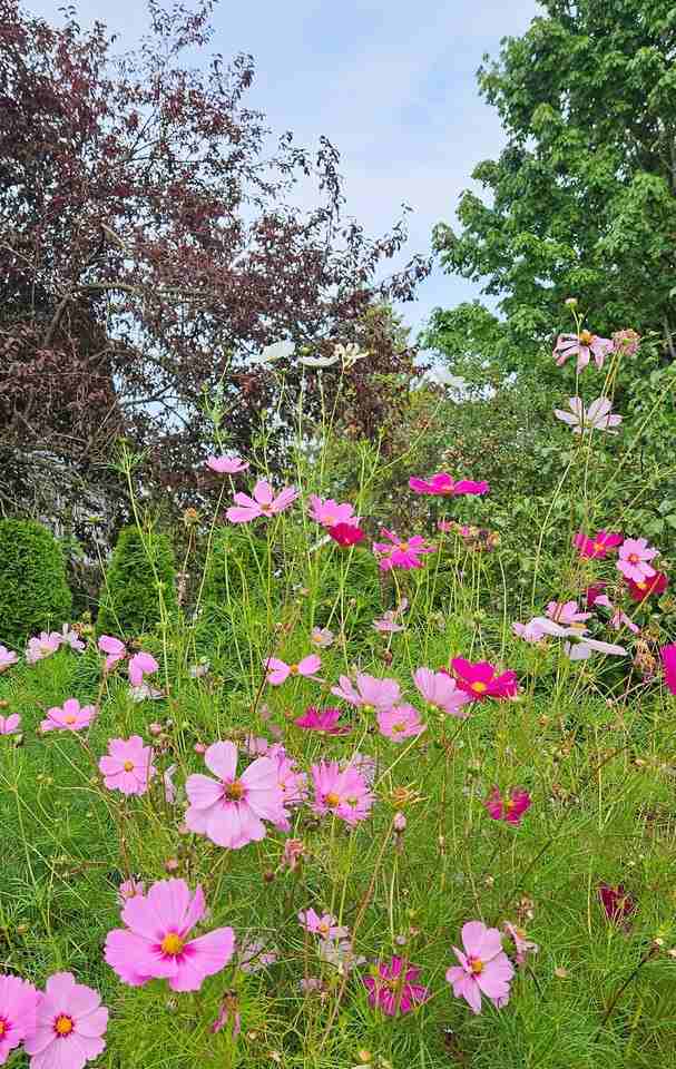 1311 E Casino Rd #2 - Photo 2 of 14