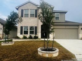 featured image of 848 Cinnamon Teal