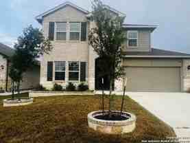 848 Cinnamon Teal - Photo 1 of 1