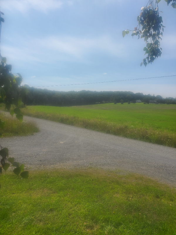 17756 Muncy - Photo 2 of 4