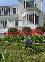 featured image of 39 Smith St