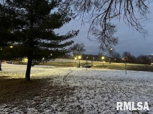 320 North Saratoga Street - Photo 6 of 11