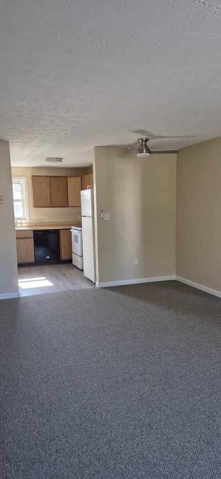 241 Alfred St #19 - Photo 4 of 15