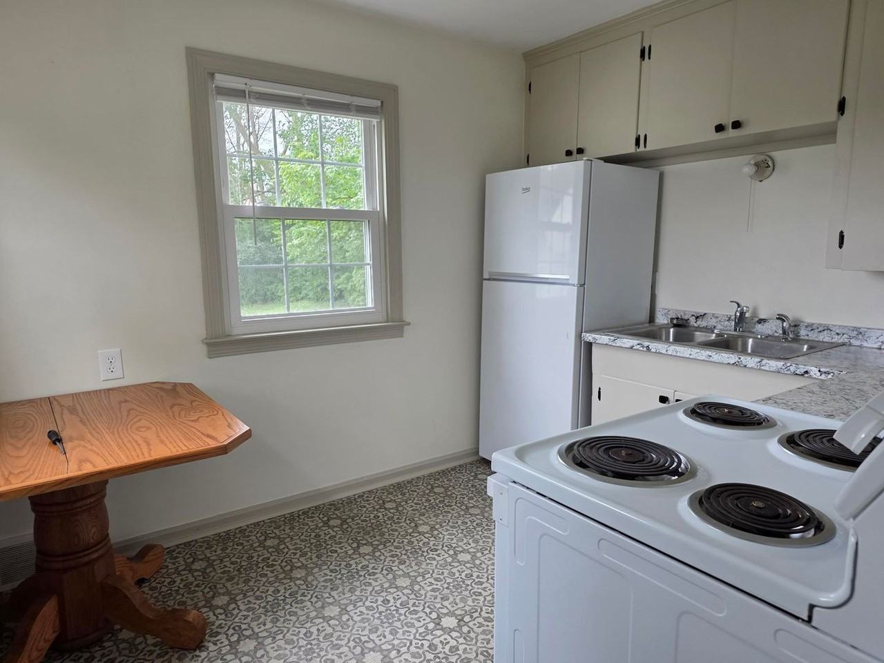 603 Chestnut St - Photo 2 of 12