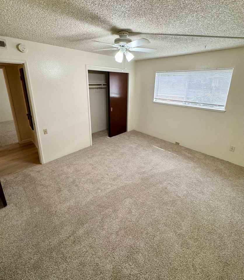 Available Now, Plus 1 Month Free! Updated 2 Bed, 2 Bath Units. Your Oasis Starts Here! - Photo 7 of 16